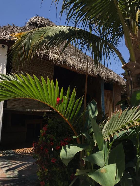 Condominio Agave Del Mar Coyuca de Benitez Екстериор снимка