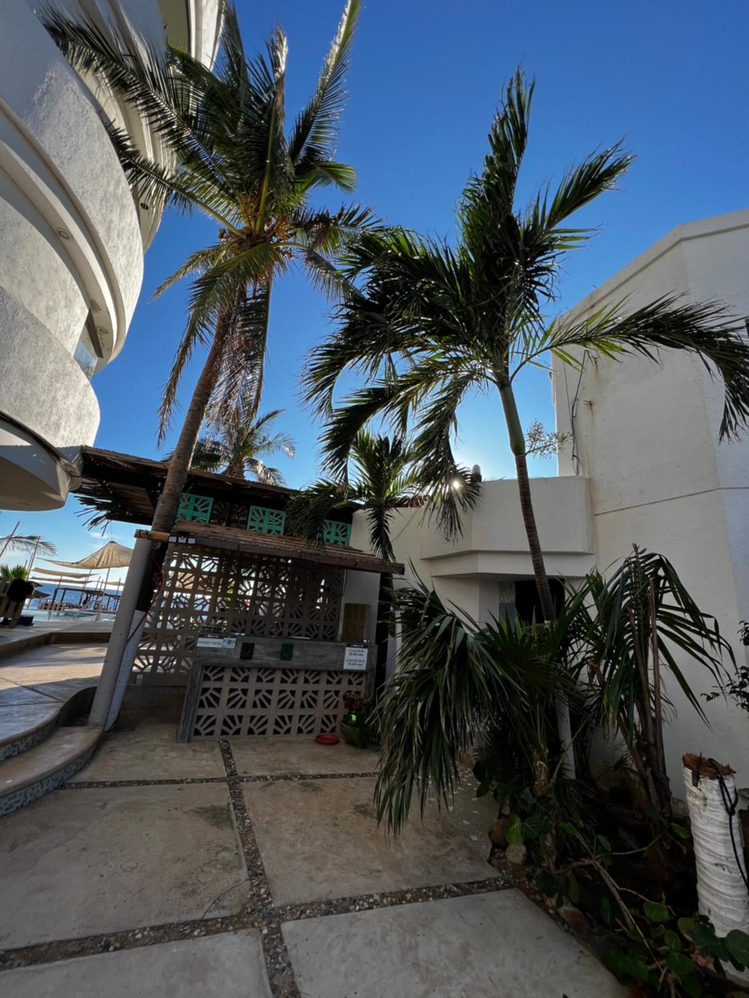 Condominio Agave Del Mar Coyuca de Benitez Екстериор снимка